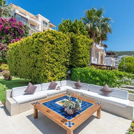 Premium - Amazing Seaviews