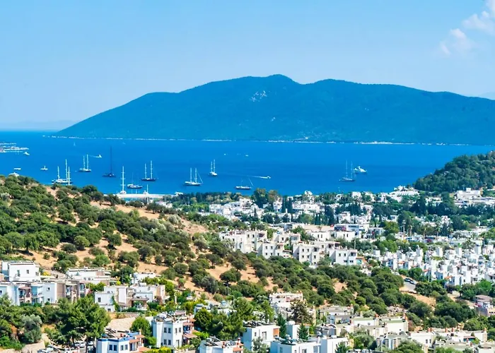 Premium - Amazing Seaviews * Αλικαρνασσός